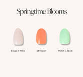 Springtime Blooms