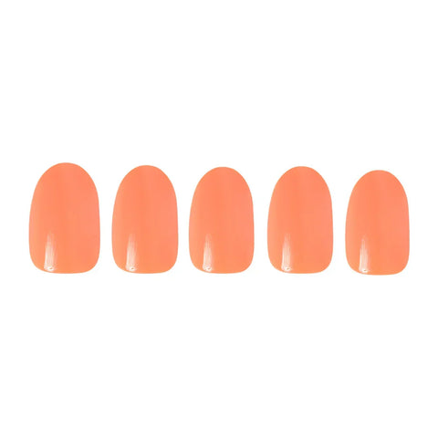 Apricot