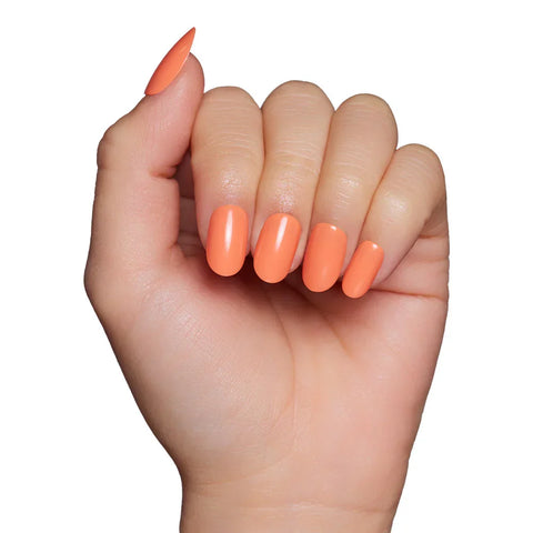 Apricot