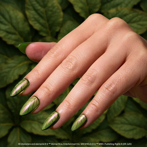 Mandrake