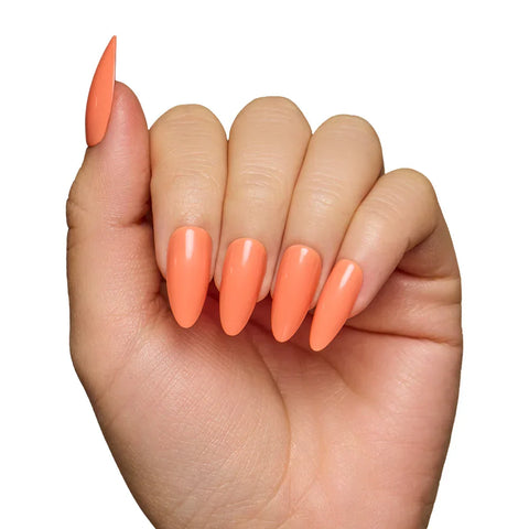 Soft Tangerine